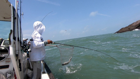 广州粉丝再次随阿杰出海，各种海货狂咬不止，成为大师指日可待
