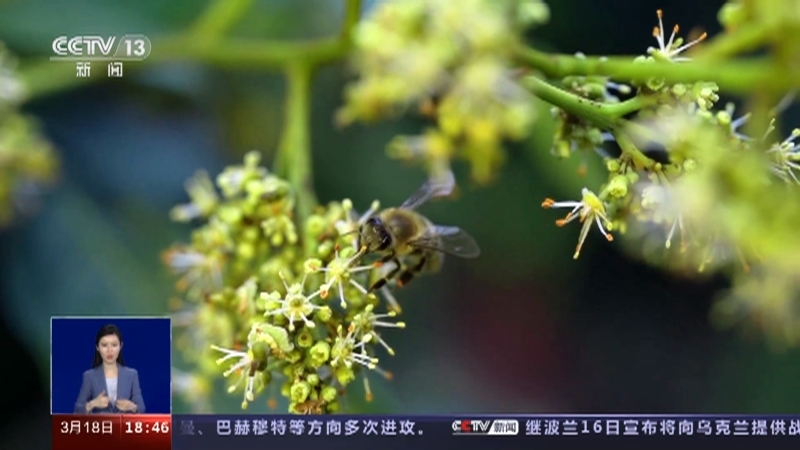 共同关注 《共同关注》 20230318