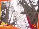 远方的家 《远方的家》长城内外 第134集 城顶山上有长城 20160428