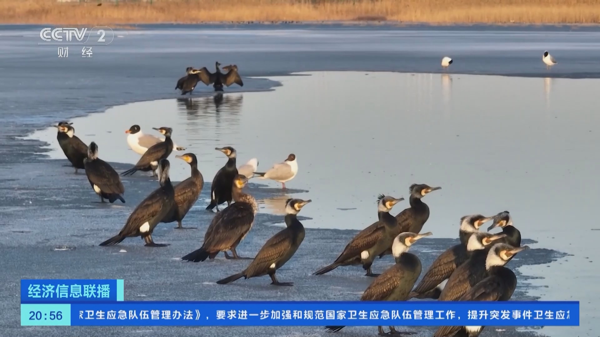 经济信息联播 《经济信息联播》 20240323