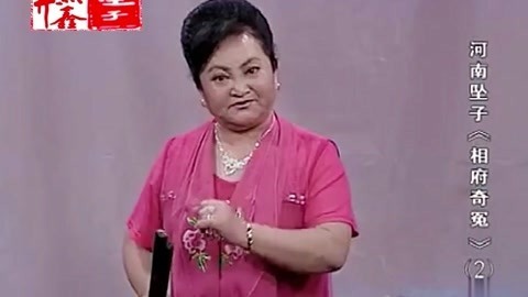 河南坠子 河南坠子 相府奇冤 二部