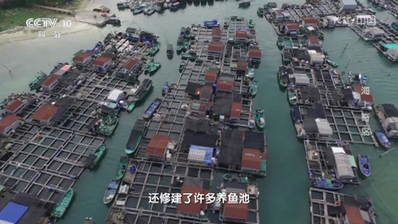 地理中国 《地理·中国》 20201231 海上奇岛