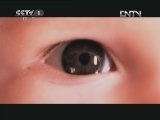 魅力纪录（CCTV-1综合频道） 《生命》 6 昆虫