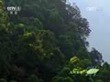 人与自然 《人与自然》 20151012 自然发现 冷血生命——精明强干的蛇
