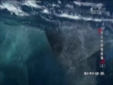 动物世界 《动物世界》 20180523 野生世界竞技场（上）