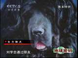 地球密码（周末精编节目） 周末精编节目 2010年 第157期 2-2