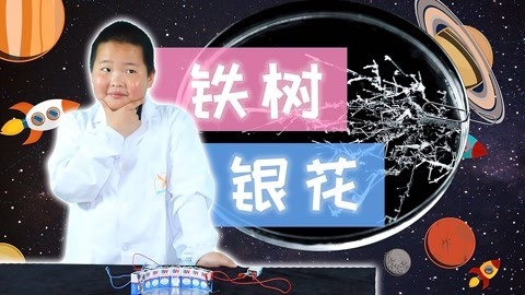 德拉少儿科学实验室 铁树银花