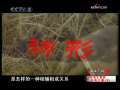 健康之路 长寿之道（下）
