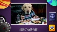 汽车洋葱圈 2016 开车拉活一天一千 17