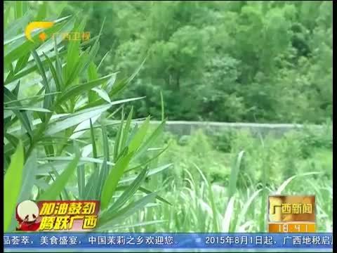 广西新闻 《广西新闻》 20150812
