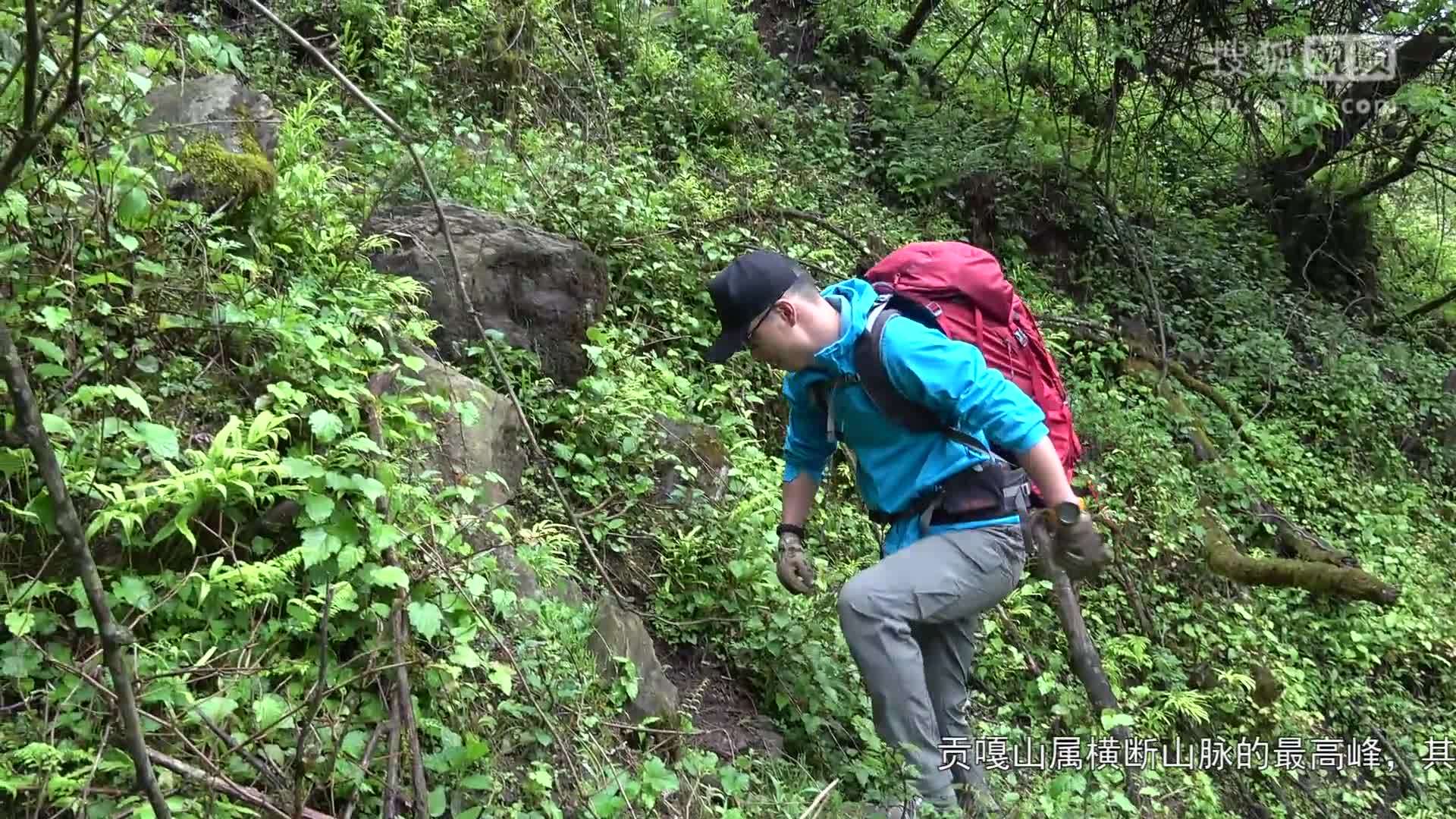 荒野游侠记41：在七十度的陡坡悬崖上跪走