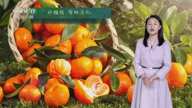 农业气象
