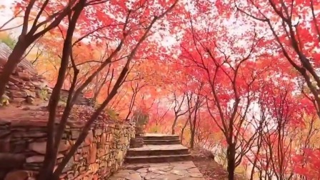 我的桃花源 一览房山美景美不胜收，观赏红叶之节流连忘返