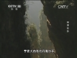 地理中国 《地理中国》 20140730 幽潭魅影