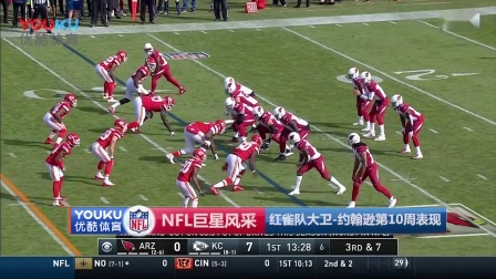 【NFL巨星风采】红雀队大卫-约翰逊第10周表现
