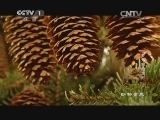 动物世界 《动物世界》 20140730 梦开始的地方（上）