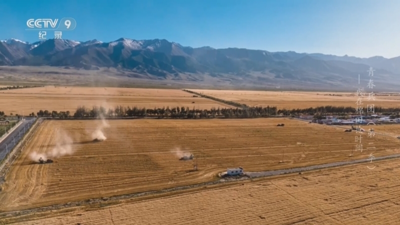 《青春兵团 第二季》 第6集 我在棉田抢时间