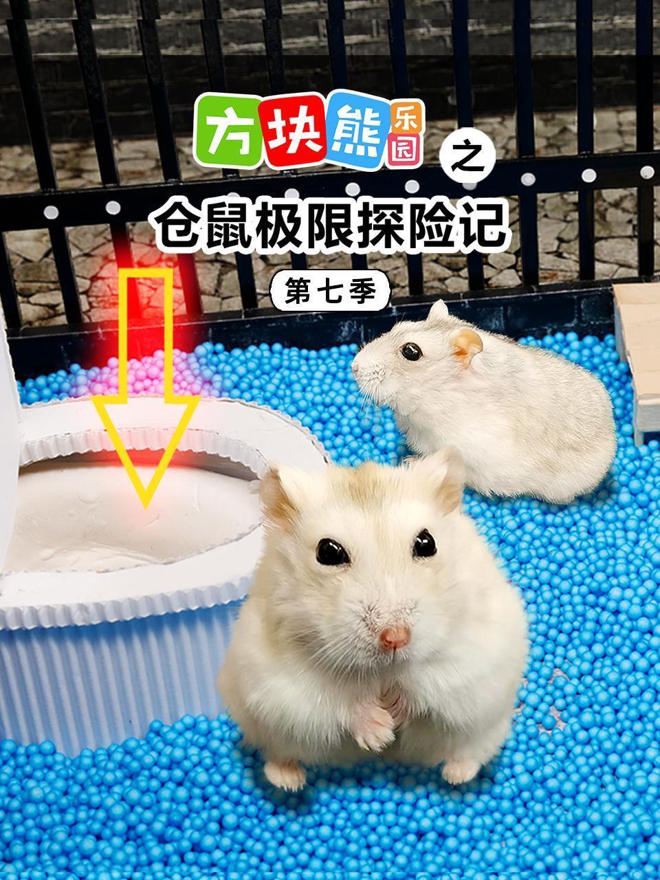 方块熊乐园之仓鼠极限探险记 第七季