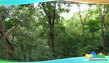 远方的家 《远方的家》 盱眙铁山寺国家森林公园 多彩的生态世界 20190902