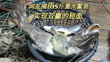 南澳岛赶海日记 网友花钱体验包网，居然捕获15斤重大鳘鱼，双方实现了双赢的局面