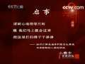 百家讲坛 李代桃僵