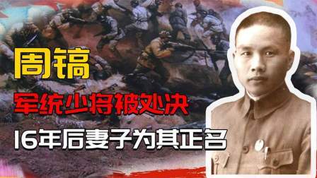 红墙往事 军统少将站长被处决，16年后，妻子凭着一本日记为他正名