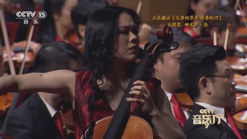 CCTV音乐厅 《CCTV音乐厅》 20230505 “名家名曲”系列音乐会（112） “魅力大提琴”专场音乐会（二）