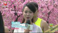 我爱桃花源 无敌全能对获胜