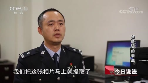 今日说法 《今日说法》 20190326 被“吃掉”的翡翠