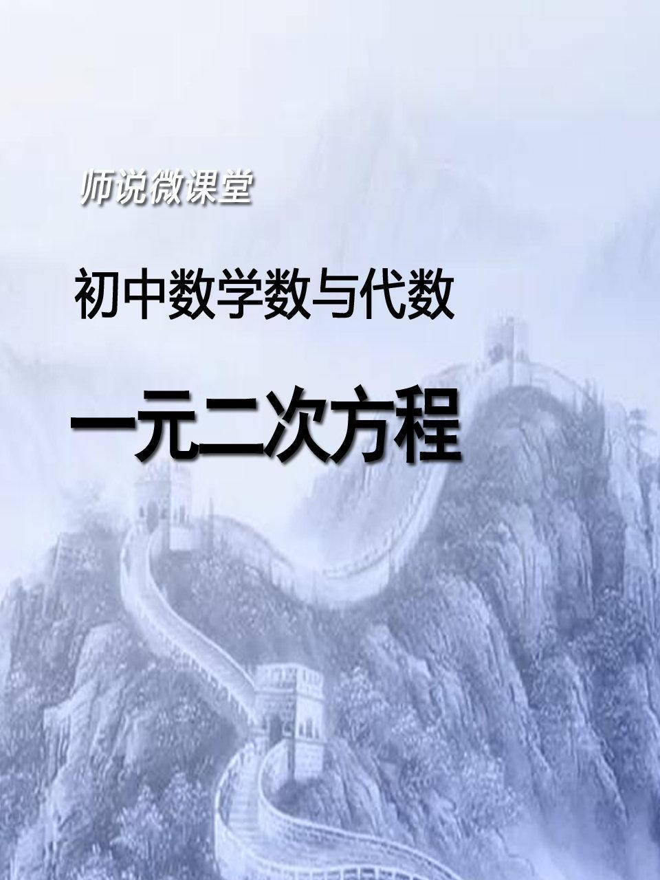 初中数学数与代数 一元二次方程