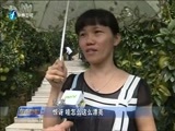 东南晚报 《东南晚报》 20161007
