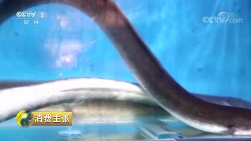 消费主张 《消费主张》 20190823 2019中国夜市全攻略：海鲜盛宴在大连