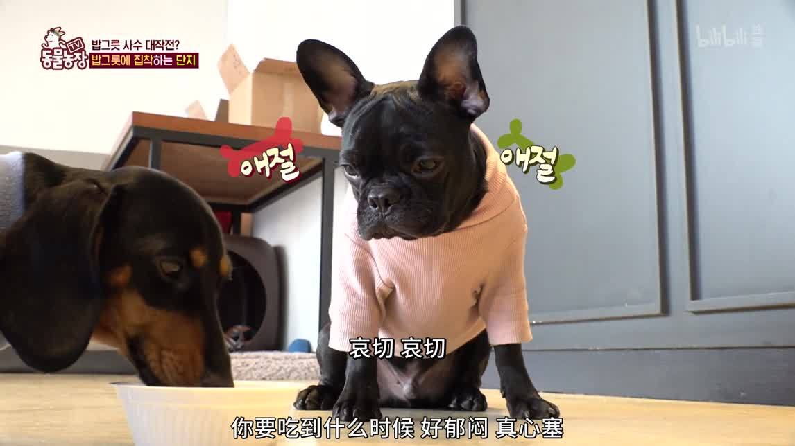 离奇的友情