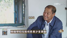 致富经 [致富经]东北爷们儿如何把黄沙变黄金 20161115