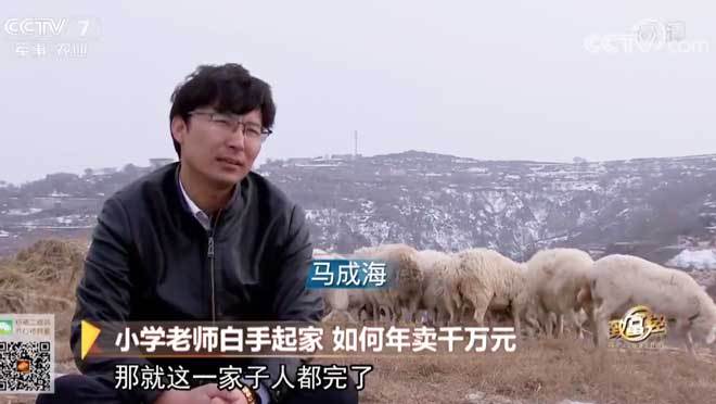 致富经 [致富经]小学老师白手起家 如何年卖千万元 20190422