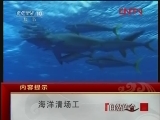 海洋清场工 [自然传奇] 20120117