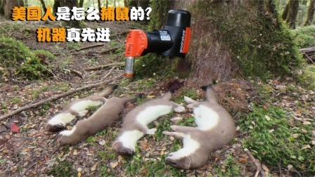 机械控 美国人是怎么捕鼠的？全自动机械化，这样的机器靠谱吗