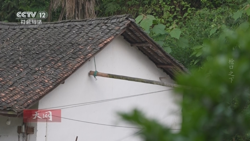 《天网》 20260519 枪口之下