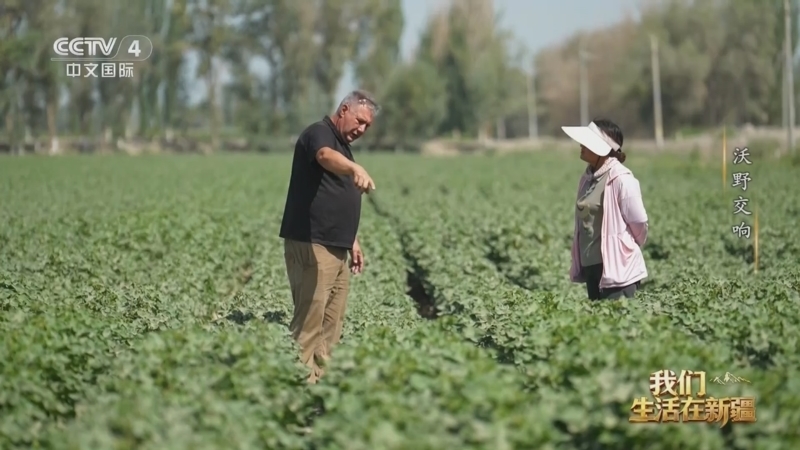 《我们生活在新疆》 第1集 沃野交响