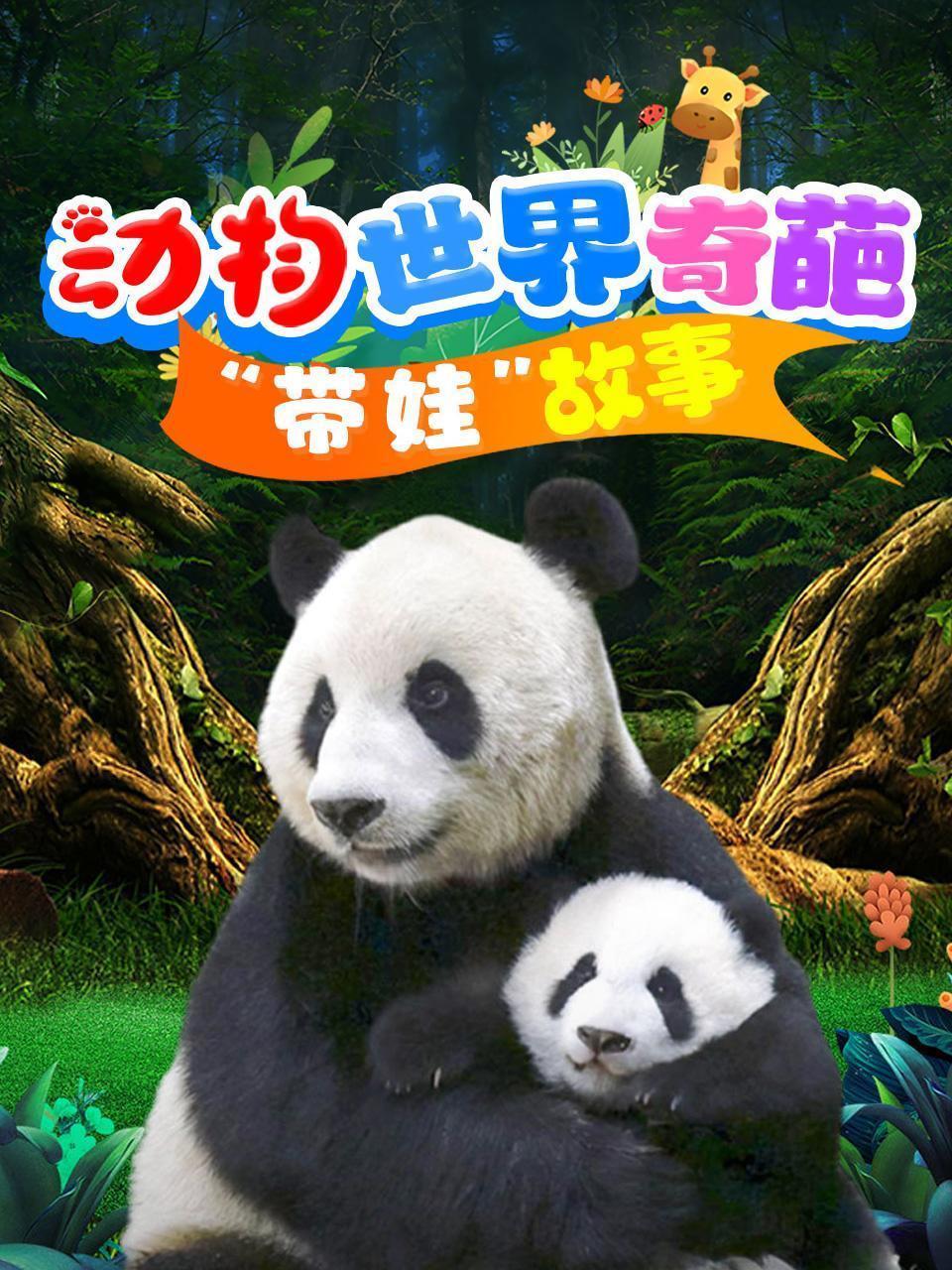 动物世界奇葩“带娃”故事