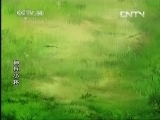 周末动画片 《周末动画片》 20130803