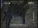 地理中国 《地理中国》 20130131 卧龙洞里的怪声 （下）