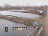 致富经 《致富经》 20160108 我们赚钱都找他