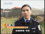 天网 疯狂的背后