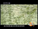 道德观察 道德观察（日播版） 2010年 第308期 永不放弃（上）