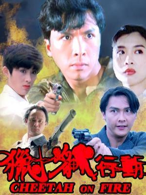 猎豹行动(1992)