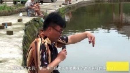 游钓江湖之川内行 二十四集 雅安黑坑