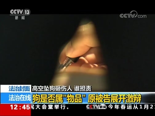 法治在线 《法治在线》 20190108