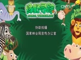 绿野寻踪 《绿野寻踪》 20160629