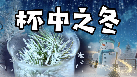 德拉少儿科学实验室 杯中之冬